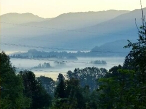 Artenhilfsprogramm Kleine Hufeisennase