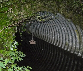 Horchbox - Flugroutensuche